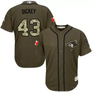 Personalized Toronto blue jays 43 ra dickey green salute to service stitched jersey 1087