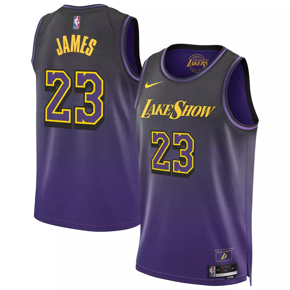 lebron james 202425 city mens los angeles lakers swingman jersey all stitched